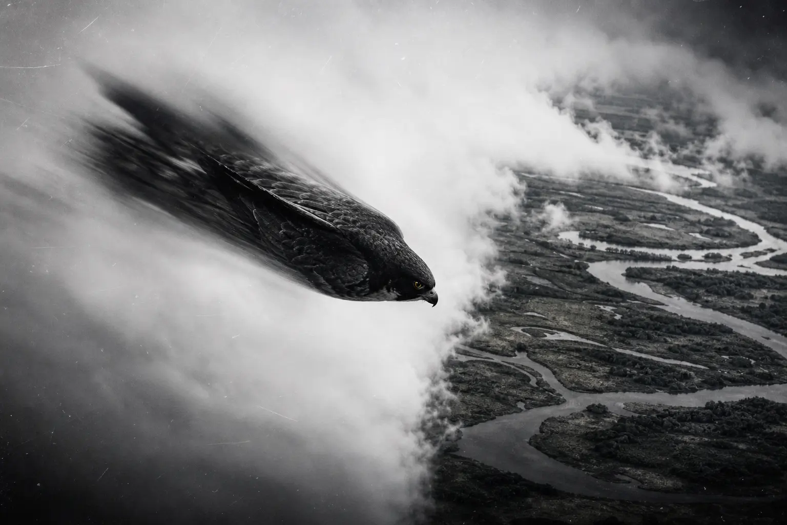 A falcon diving from cloud into a visible landscape